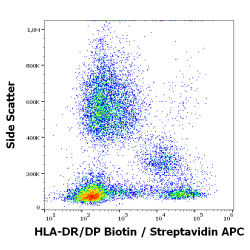 HLA-DR+DP Antibody (Biotin)