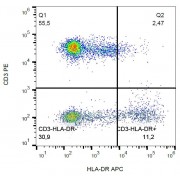 Flow cytometry analysis of Surface staining of HLA-DR in human peripheral blood using HLA-DR Antibody (APC).
