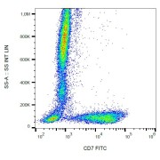 Surface staining of human peripheral blood with anti-human CD7 FITC.
