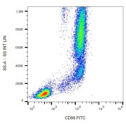 Surface staining of CD89 in human peripheral blood with anti-CD89 FITC.