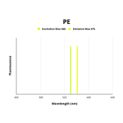 Fluorescence emission spectra of PE .