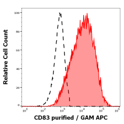 Cluster of Differentiation 83 (CD83) Antibody