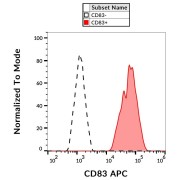 Surface staining of CD83 in IFN alpha-activated human peripheral blood cells using CD83 Antibody APC.