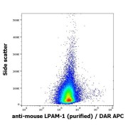 Flow cytometry analysis of murine splenocyte suspension using LPAM-1 Antibody (abx140576, 2 μg/ml).