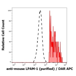 Integrin Alpha 4 Beta 7 (LPAM-1) Antibody