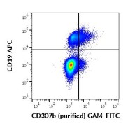 Flow cytometry multicolor surface staining of human lymphocytes stained using APC-conjugated CD19 antibody (<a href="https://www.abbexa.com/index.php?route=product/search&search=abx139185" target="_blank">abx139185</a>, 10 µl reagent / 100 µl of peripheral whole blood) and FCRL2/CD307b antibody (0.5 μg/ml with FITC-conjugated goat anti-mouse antibody).