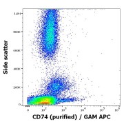 abx347206