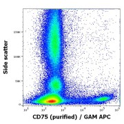 Flow cytometry surface staining of Human peripheral whole blood using CD75 antibody (5 µg/ml).