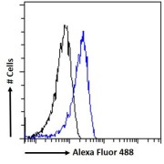 Flow cytometry analysis of Caco-2 cells (blue), using CD156 Antibody (10ug/ml) with a secondary antibody conjugated to AF488 (1ug/ml). Non-specific Goat IgG was used as a negative control, followed by a secondary antibody conjugated to AF488 (black).