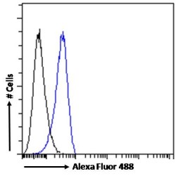 Allograft Inflammatory Factor 1 Isoform 3 (AIF1 Isoform 3) Antibody