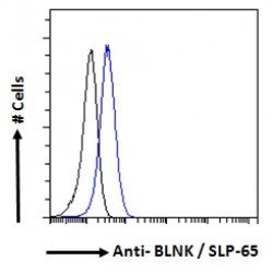 SLP-65 Antibody