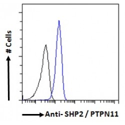 Protein Tyrosine Phosphatase, Non Receptor Type 11 (PTPN11) Antibody