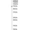 Protein Tyrosine Phosphatase, Non Receptor Type 11 (PTPN11) Antibody