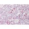 Membrane Associated Ring-CH-Type Finger 6 (MARCHF6) Antibody
