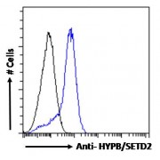 Flow cytometry analysis of paraformaldehyde fixed HepG2 cells (blue line), permeabilized with 0.5% Triton. Primary incubation overnight (10 µg/ml) followed by AF488 secondary antibody (1 µg/ml). IgG control: Unimmunized goat IgG (black line) followed by AF488 secondary antibody.