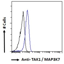 Mitogen-Activated Protein Kinase Kinase Kinase 7 (MAP3K7) Antibody