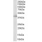 Mitogen-Activated Protein Kinase 1 / ERK2 (MAPK1) Antibody