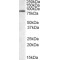 Brain-Expressed RING Finger Protein (BERP) Antibody