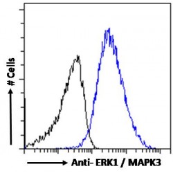 Mitogen-Activated Protein Kinase 3 / ERK1 (MAPK3) Antibody