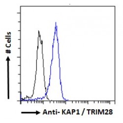 Transcription Intermediary Factor 1-Beta (TRIM28) Antibody