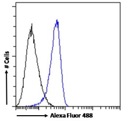 Interferon Induced Helicase C Domain Containing Protein 1 (IFIH1) Antibody