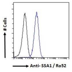 E3 ubiquitin-protein ligase TRIM21 (TRIM21) Antibody