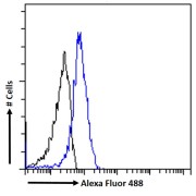 Flow cytometry analysis of A431 cells (blue) using LIMP2 Antibody (10 µg/ml) with a secondary antibody conjugated to AF488 (1 µg/ml). Non-specific Goat IgG antibody with a secondary antibody conjugated to AF488 (black) was used as a negative control.