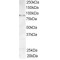 A-Kinase Anchor Protein 3 (AKAP3) Antibody