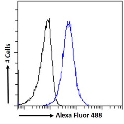 Sorting Nexin 18 (SNX18) Antibody