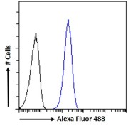 Flow cytometry analysis of A549 cells (blue) using Restin Antibody (10 µg/ml) with a secondary antibody conjugated to AF488 (1 µg/ml). Non-specific Goat IgG antibody with a secondary antibody conjugated to AF488 (black) was used as a negative control.