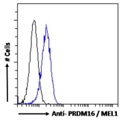 Flow cytometry analysis of paraformaldehyde fixed HEK293 cells (blue line), permeabilized with 0.5% Triton. Primary incubation 1hr (10 µg/ml) followed by AF488 secondary antibody (1 µg/ml). IgG control: Unimmunized goat IgG (black line) followed by AF488 secondary antibody.