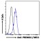 PR Domain Zinc Finger Protein 16 (PRDM16) Antibody
