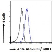 Flow cytometric analysis of paraformaldehyde fixed HeLa cells (blue line), permeabilized with 0.5% Triton. Primary incubation 1hr (10 µg/ml) followed by AF488 secondary antibody (1 µg/ml). IgG control: Unimmunized goat IgG (black line) followed by AF488 secondary antibody.