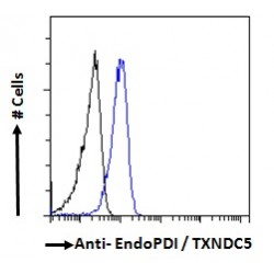 EndoPDI Antibody