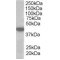 Monocarboxylate Transporter 2 (SLC16A7) Antibody
