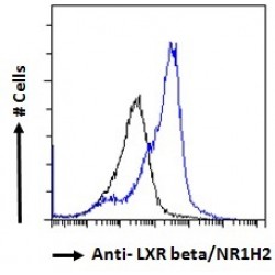 LXR beta Antibody