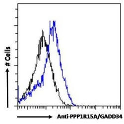 Protein Phosphatase 1, Regulatory Subunit 15A (PPP1R15A) Antibody