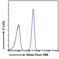 proteinase 3 Antibody