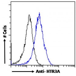 5-Hydroxytryptamine Receptor 3A (HTR3A) Antibody