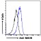 Monoamine Oxidase B (MAOB) Antibody