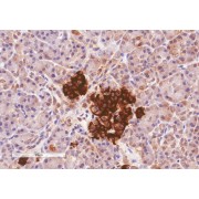 abx431148