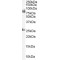 Chromodomain Y Like (CDYL) Antibody