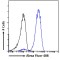 Cold-Inducible RNA-Binding Protein (CIRBP) Antibody