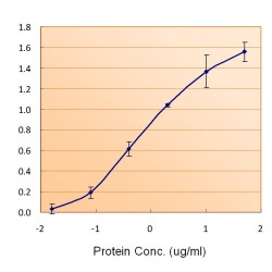 Ferritin, Light Polypeptide (FTL) Antibody