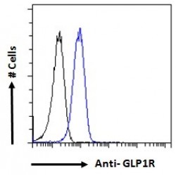 Glucagon-Like Peptide 1 Receptor (GLP1R) Antibody