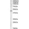 Aspartate Aminotransferase, Mitochondrial / AST (GOT2) Antibody