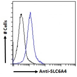 Sodium-Dependent Serotonin Transporter (SLC6A4) Antibody