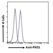 Flow cytometry analysis of paraformaldehyde fixed HEK293 cells (blue line), permeabilized with 0.5% Triton. Primary incubation 1hr (10 µg/ml) followed by AF488 secondary antibody (1 µg/ml). IgG control: Unimmunized goat IgG (black line) followed by AF488 secondary antibody.