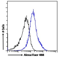 ATP-Binding Cassette Sub-Family D Member 3 (ABCD3) Antibody