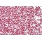Forkhead Box Protein P3 (Foxp3) Antibody